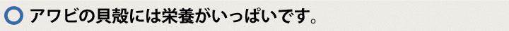 アワビには栄養素がいっぱいです。