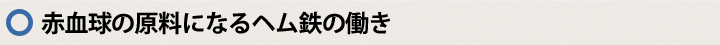 赤血球の原料になるヘム鉄の働き